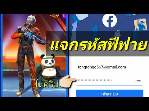 ฟีฟายฟรี