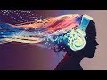 Elektronische Musik Zum Lernen Elektro Lernmusik Entspannung Konzentration Musik Lesemusik