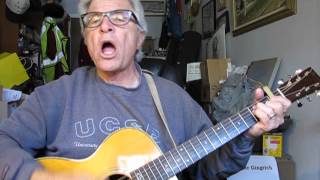 Shut It Down (Shut The Government Down) ~ original folk blues protest music