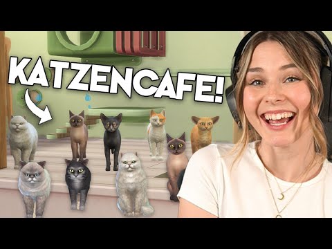 Unser KATZENCAFE in Die Sims 4 braucht NOCH MEHR KATZEN! | simfinity