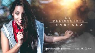 Norykko - Mr. Delincuente