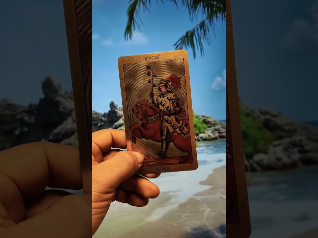 Vídeo relacionado con NOPKESV 1 juego de Cartas de Tarot con Libro para Principiantes [tarot deck,cartas tarot bonitas,cartas tarot español] (10,6 * 6,2cm)