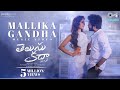 Mallika Gandha Music Video Telusu Kada Siddu Jonnalagadda Raashii Khanna Thaman S Sid Sriram