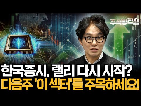 숨고르기 들어간 한국 증시, 진짜 기회는 '이 섹터'에 있습니다! (주식왕 찐쌤 | 김진)