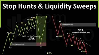 Liquidity Explained — The True Language of the Market