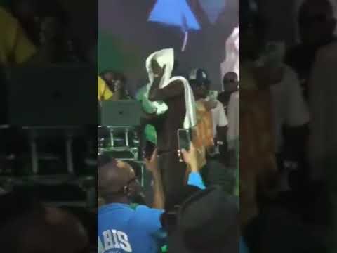 Zlatan ibile enchanting life performance #zlatan #life performance #party #