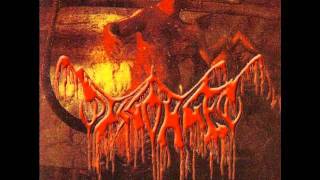 Disgorged - Infesting The Nest Of Incubation