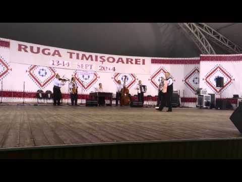 Petrica Moise - Ruga Timisoara, 2014, partea 2