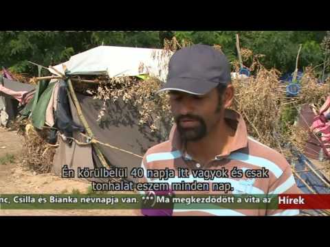 Híradó - 2016.08.10. 17:30h