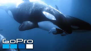 GoPro Cause: Ocean Souls | A Cetaceans Film