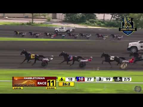 2020 Hambletonian Final - Ramona Hill