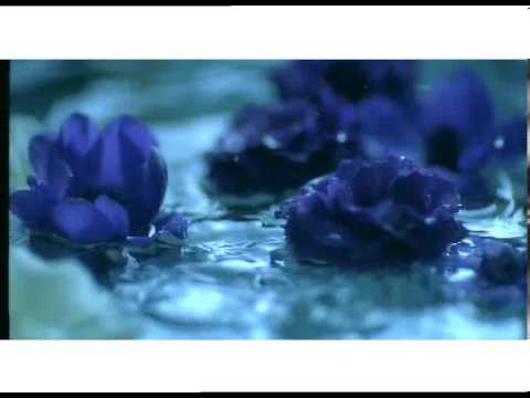 Beyaz - Ebru Gündeş