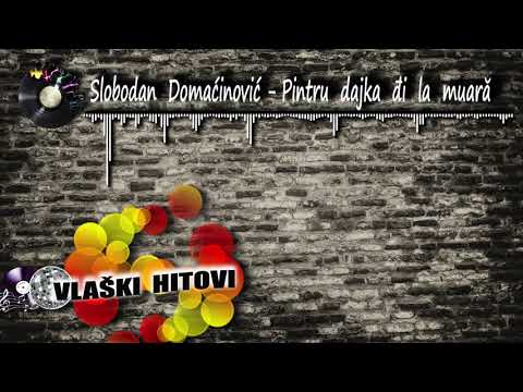 Pintru dajka đi la muară - Slobodan Domaćinović