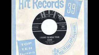 The Doodles I Want To Hold Your Hand