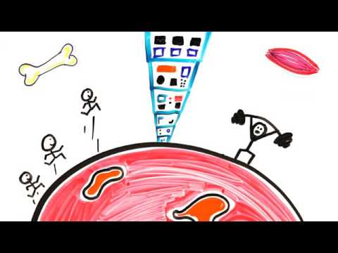 我們真的能在火星上生活嗎？ (Could We Actually Live On Mars?)