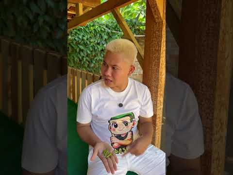 Kalian kalo lagi main sama temen suka gini juga ga, nyolong cabe buat metis #shorts #lucu #kocak