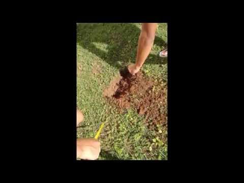 Ensaios de percolação e tátil visual do solo