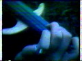 The Silos - Tennessee Fire (music video)