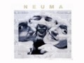 Neuma There S No Second To Be Lost