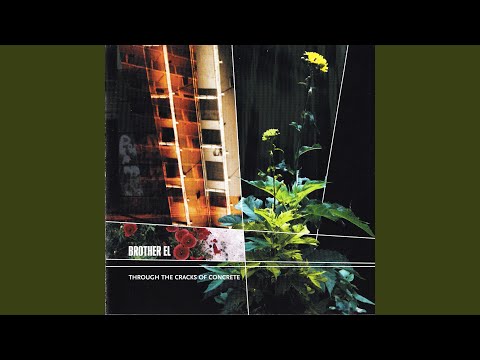 I Just Wanna Hold Your Hand cover