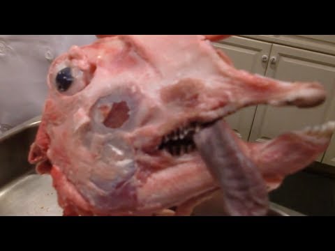 download lagu mp3 mp4 Cooked Goat Head, download lagu Cooked Goat Head gratis, unduh video klip Cooked Goat Head