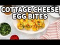 Healthy Breakfast Cottage Cheese Egg Bites Recipe
