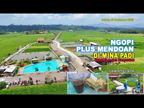 NGOPI PLUS MENDOAN DI MINA PADI PANEMBANGAN BANYUMAS