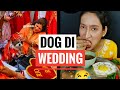 DOG DI WEDDING INDIAN FUNNY FAMILY Vbt World017