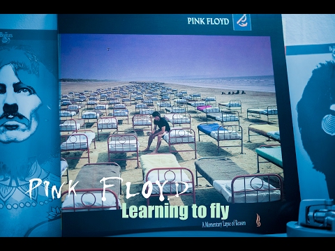 Pink Floyd - Learning To Fly [2017 Vinyl Reissue]