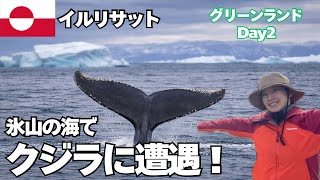 【グリーンランド②】北極圏の海でホエールウォッチング｜スーパーマーケットで物価調査も！イルリサット