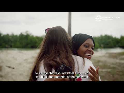 EVWA 2024 Champion: Trailer