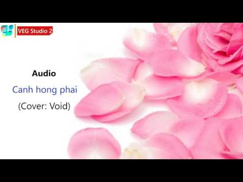 VEG Studio 2 | Cánh hồng phai | Cover: Void | HD | Official Audio