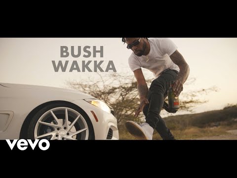 Bush Wakka Ft Sanity Dsane1 (6ix) Tunnel Vision [Official Music Video]
