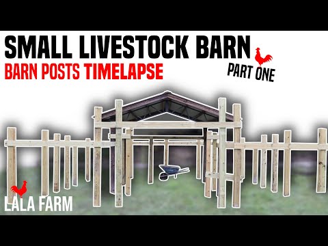 Small Livestock Barn Build - Barn Posts Timelapse