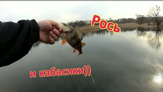 Ссылка