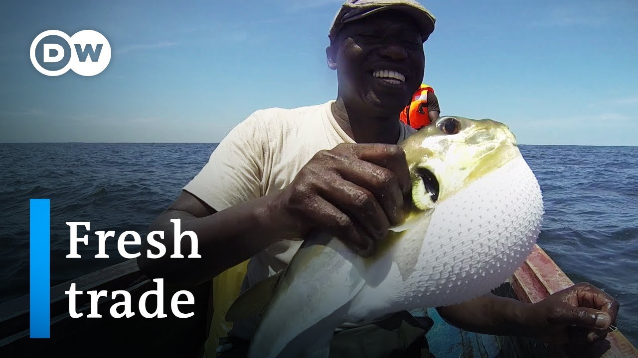 Fighting poverty with fish