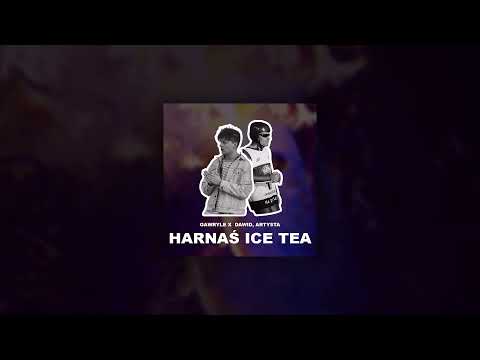 Gawryle ft. Dawid, Artysta - Harnaś Ice Tea