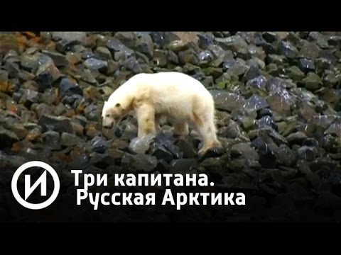 Три капитана. Русская Арктика | Телеканал 'История'