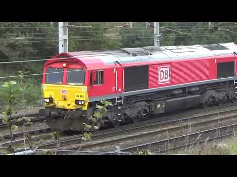 Crewe Basford Hall 21.10.18