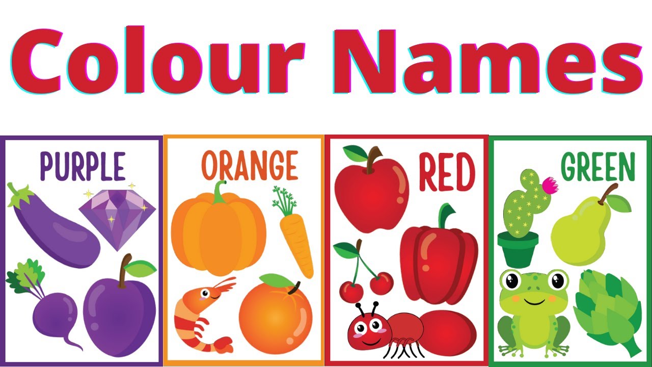 Colors worksheet for kindergarten | match colours | learn colours name | DK Learning