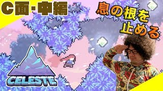 CELESTE完全制覇を目指すC面踏破の記録【C面・中編】