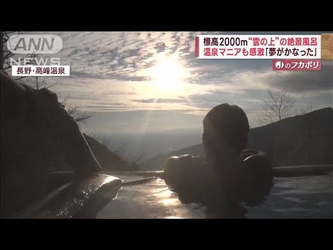 バスルームに蘭を置く 人工光の空気循環
