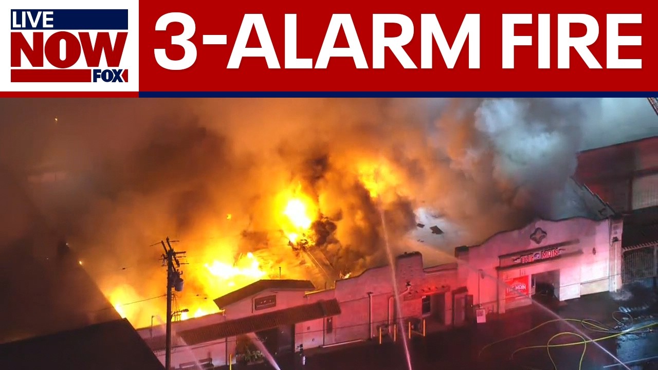Multiple businesses destroyed in LA County fire