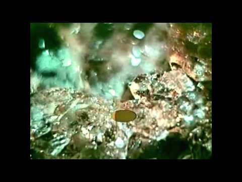 Brother Mynor - The Whitewater Orchestra [OFFICIAL VIDEO]