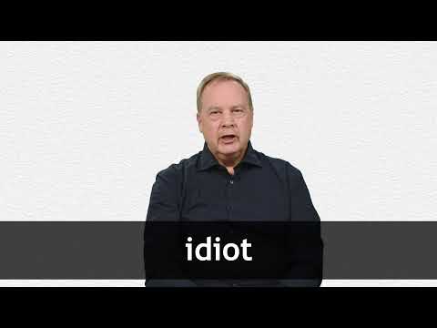 O que significa you are such an idiot? - Pergunta sobre a Inglês