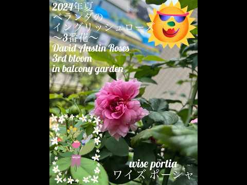 バルコニーの花: 想像力豊かに組み合わせたもの トピックス