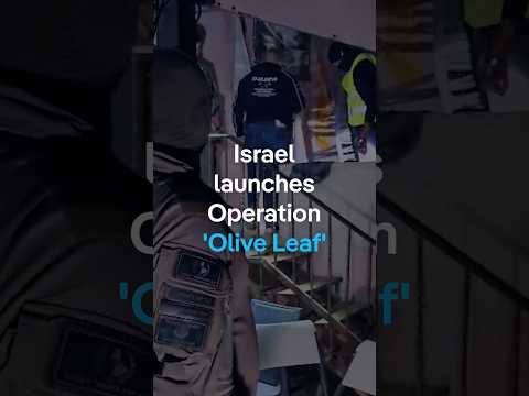 REEL Olive leaf DIRTY