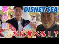 夢の国で減量中にも食べれるものを調査してきました!
