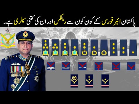 Pakistan Air Force Ranks And Salary | Pakistan Air Force Ranks, Insignia,Salary | PAF