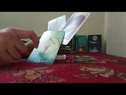 Taurus ♉️ Vrishabh Rashi- Kaisa feel kar rahe hain aapke person 🥰 